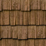 Autumn Cedar